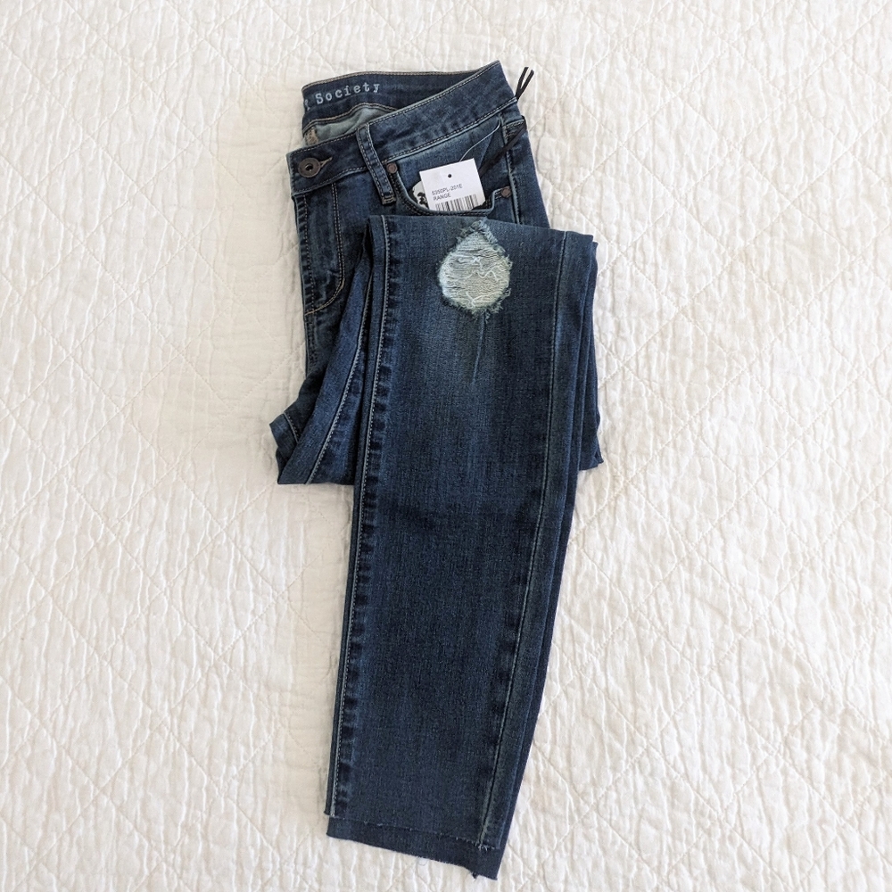 NWT Articles of Society Sarah Skinny Jeans, size 26